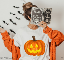 Load image into Gallery viewer, Painted Jack O Lantern Pumpkin #BS5829
