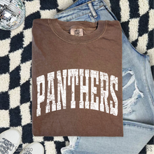 Load image into Gallery viewer, Panthers Distressed Arch #BS8550
