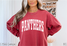 Load image into Gallery viewer, Panthers Distressed Arch #BS8550

