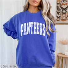 Load image into Gallery viewer, Panthers Distressed Arch #BS8550
