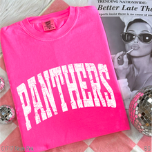 Load image into Gallery viewer, Panthers Distressed Arch #BS8550
