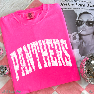 Panthers Distressed Arch #BS8550