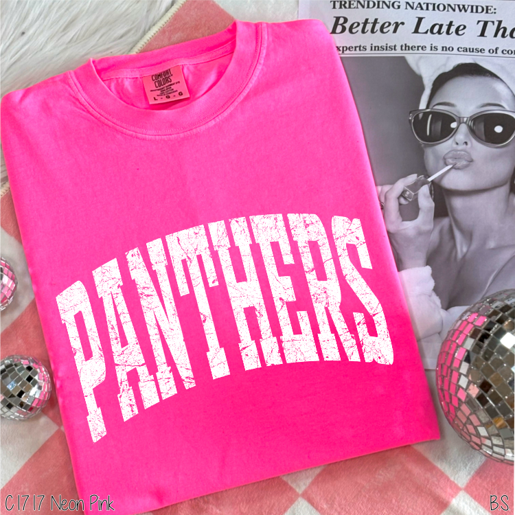 Panthers Distressed Arch #BS8550