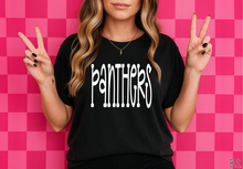 Load image into Gallery viewer, Panthers Fun Doodle #BS8895
