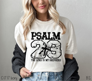 Psalm 23 #BS8525