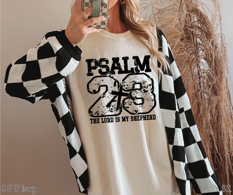 Psalm 23 #BS8525