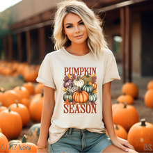 Load image into Gallery viewer, Pumpkins Season Pumpkin Collage #BS7354
