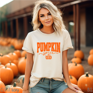 Pumpkin Spice Plaid Pumpkin #BS7206