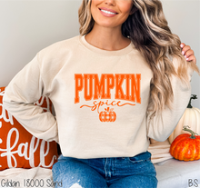 Load image into Gallery viewer, Pumpkin Spice Plaid Pumpkin #BS7206
