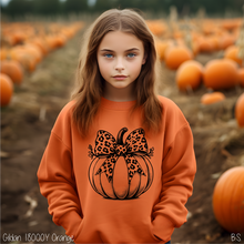 Load image into Gallery viewer, Pumpkin With Leopard Bow #BS7165
