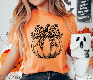 Pumpkin With Leopard Bow #BS7165