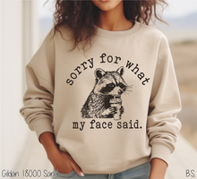 Load image into Gallery viewer, Raccoon Sorry Face Said #BS8662
