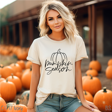 Load image into Gallery viewer, Script Pumpkin Season With Pumpkin #BS7217
