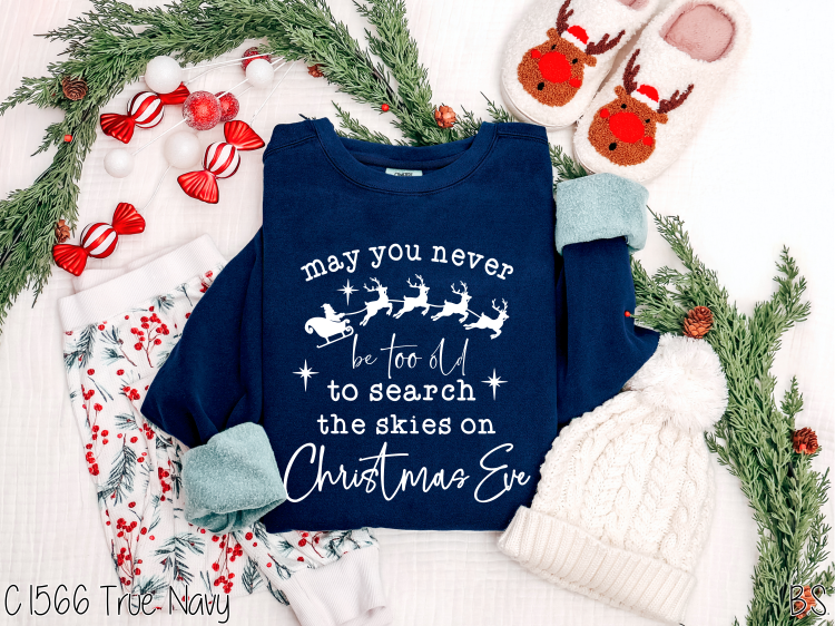 Search Skies Christmas Eve #BS8683