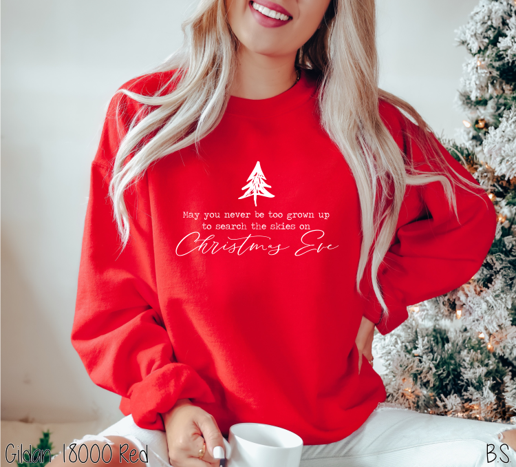 Search The Skies #BS6221