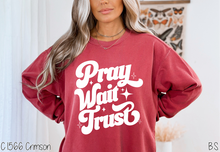 Load image into Gallery viewer, Semi-Exclusive Pray Wait Trust #BS8365
