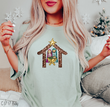 Load image into Gallery viewer, Sequin Nativity #BS6212

