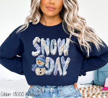 Load image into Gallery viewer, Snow Day Faux Paint #BS8773
