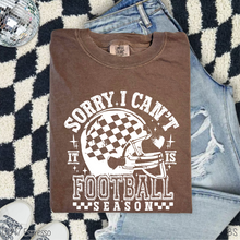 Load image into Gallery viewer, Sorry Can&#39;t Football Season #BS8302
