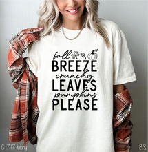 Load image into Gallery viewer, Stacked Fall Breeze One Color #BS7181
