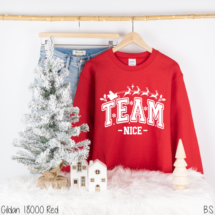 Team Nice #BS8761 *11/23 PRINTS ON ORDER & EXTRAS POSTED FOR PURCHASE BEFORE ARRIVAL