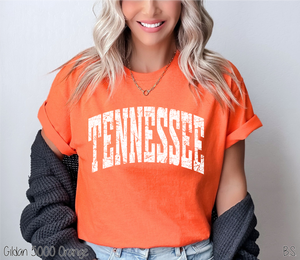 Tennessee Distressed Arch #BS8492