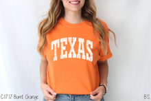 Load image into Gallery viewer, Texas Distressed Arch #BS8495
