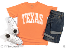 Load image into Gallery viewer, Texas Distressed Arch #BS8495
