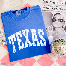 Load image into Gallery viewer, Texas Distressed Arch #BS8495
