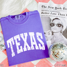 Load image into Gallery viewer, Texas Distressed Arch #BS8495
