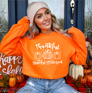Thankful Grateful Blessed Pumpkin Trio #BS7462
