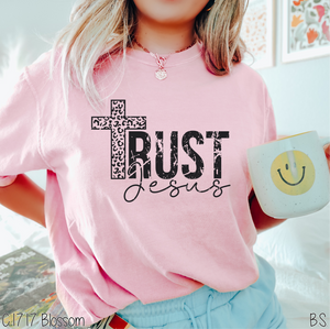 Trust Jesus With Cross #BS5878
