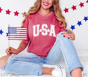 USA Arched With Stars #BS8110