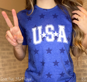 USA Arched With Stars #BS8110
