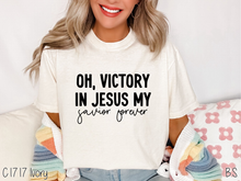 Load image into Gallery viewer, Victory In Jesus One Color #BS7873
