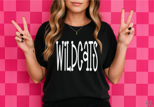 Load image into Gallery viewer, Wildcats Fun Doodle #BS8909
