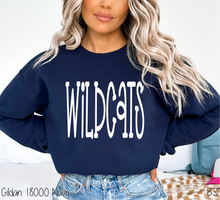 Load image into Gallery viewer, Wildcats Fun Doodle #BS8909
