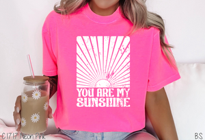 You Are My Sunshine Distressed #BS6905