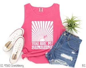 You Are My Sunshine Distressed #BS6905