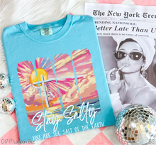 Load image into Gallery viewer, You Are The Salt Of The Earth #BS8198
