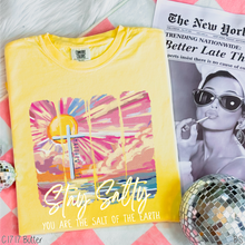 Load image into Gallery viewer, You Are The Salt Of The Earth #BS8198
