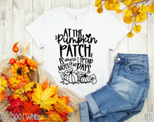 Load image into Gallery viewer, At The Pumpkin Patch #BS2125
