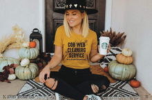 Load image into Gallery viewer, Cob Web Cleaning Service #BS3492
