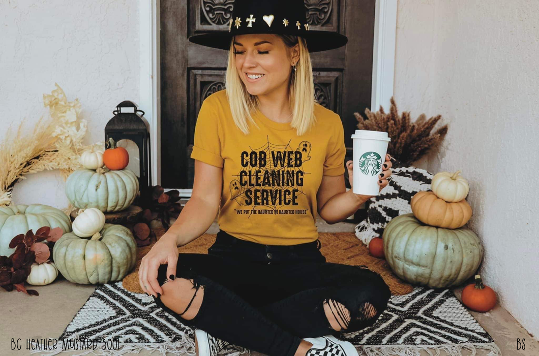 Cob Web Cleaning Service #BS3492