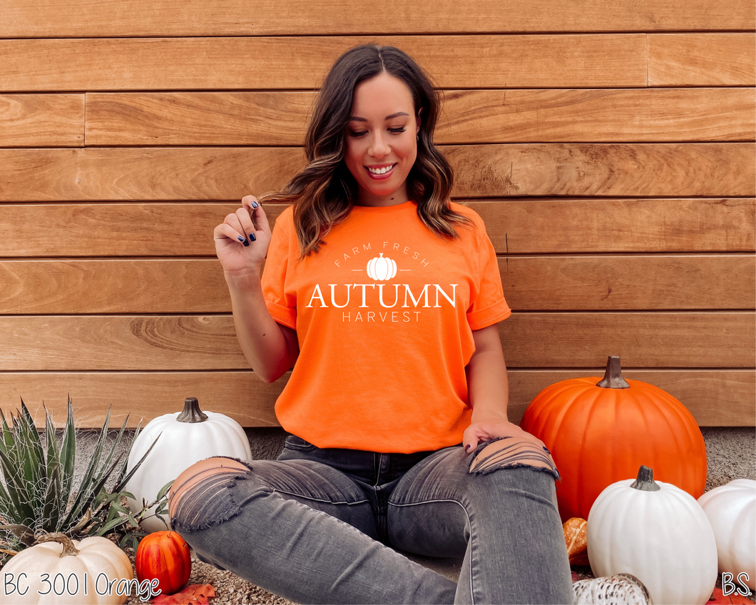 Farm Fresh Autumn Harvest #BS2238