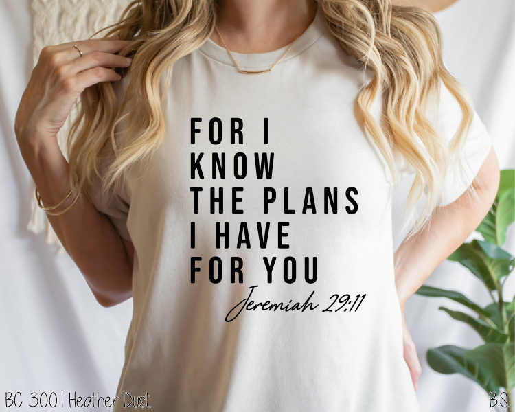 For I Know The Plans #BS3887