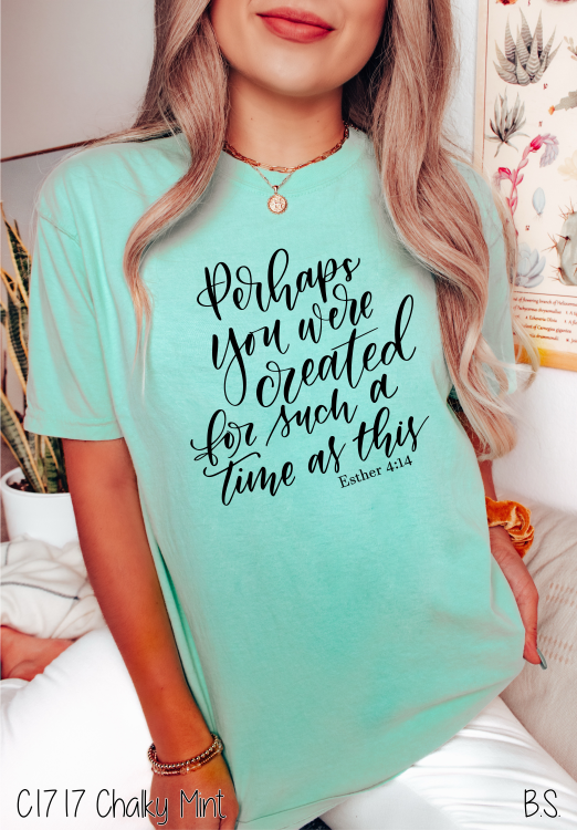 Hand Lettered Perhaps You Were Created #BS5438 – Bama Signs & Screens