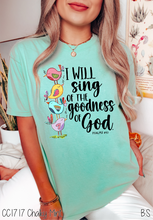 Load image into Gallery viewer, I Will Sing Goodness of God #BS5399
