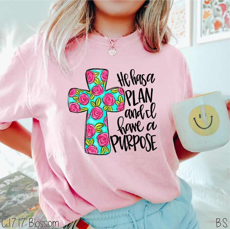 Plan And Purpose Cross #BS5419