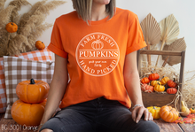 Load image into Gallery viewer, Round Farm Fresh Pumpkins #BS3733

